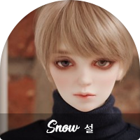 profile_snow.png