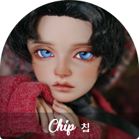 profile_chip.png